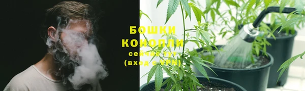 экстази Богданович