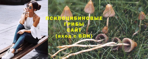 трава Богородицк
