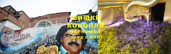экстази Богданович