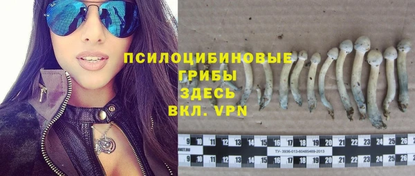 кокс Белокуриха