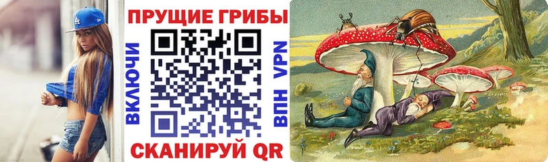 площадка какой сайт Кушва Псилоцибиновые грибы Psilocybe